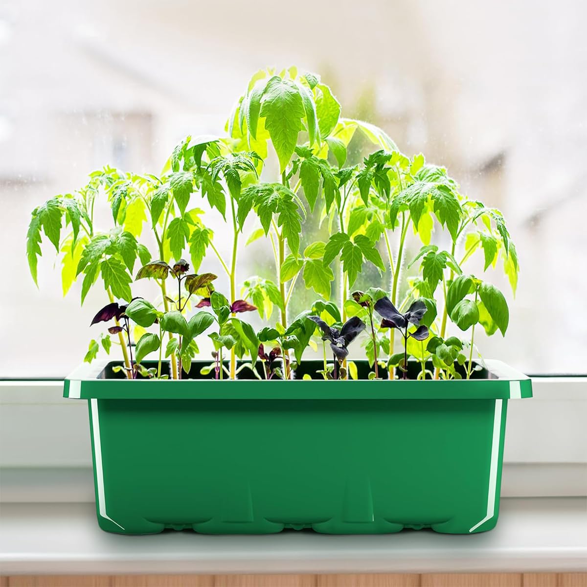 HASTHIP® 5Pcs Seed Starter Tray Kit with 12 Cell Seedling Tray, Labels, Seedling Tools - Seed Starter Tray with Drainage Design - Home Greenhouse Germination Kit - Growing Tray Gardening Tools Kit HASTHIP® 5Pcs Seed Starter Tray Kit with 12 Cell Seedling Tray, Labels, Seedling Tools - Seed Starter Tray with Drainage Design - Home Greenhouse Germination Kit - Growing Tray Gardening Tools Kit